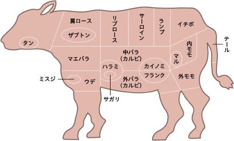 焼肉の部位を英語で説明しよう 飲食店の接客英語のフレーズ Worldmenu ワールドメニュー